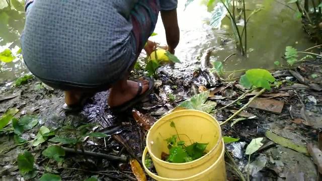捕鱼神器自制塑料瓶(塑料瓶制作捕鱼神器视频)