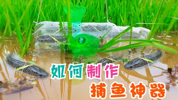 捕鱼神器自制塑料瓶(塑料瓶制作捕鱼神器视频)