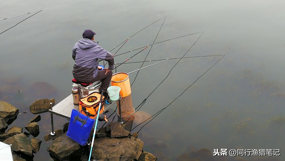 经常钓鱼对身体好不好(经常钓鱼对身体好不好呢)
