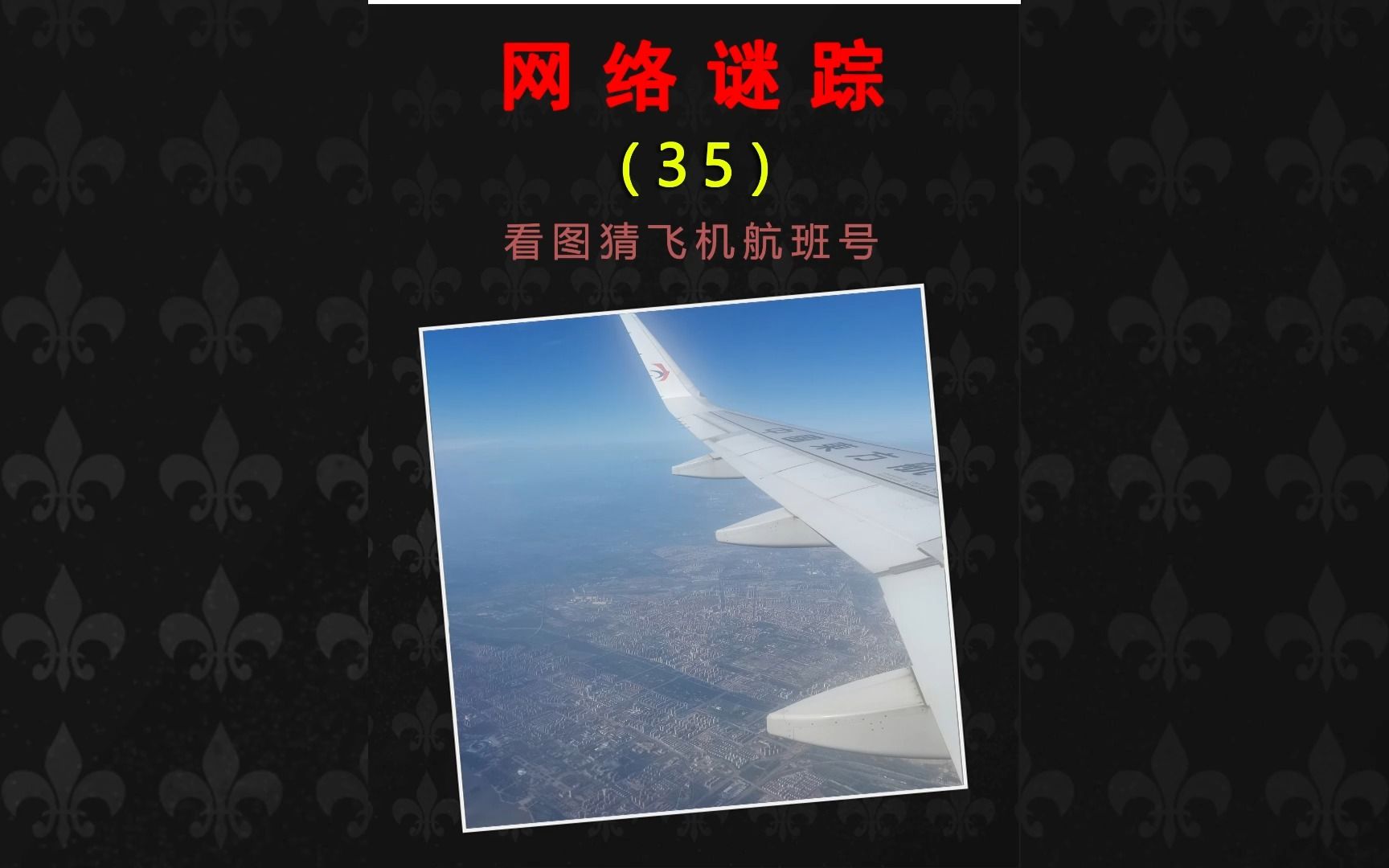 飞机号被禁言怎么办(飞机被限制在群里发消息怎么办)