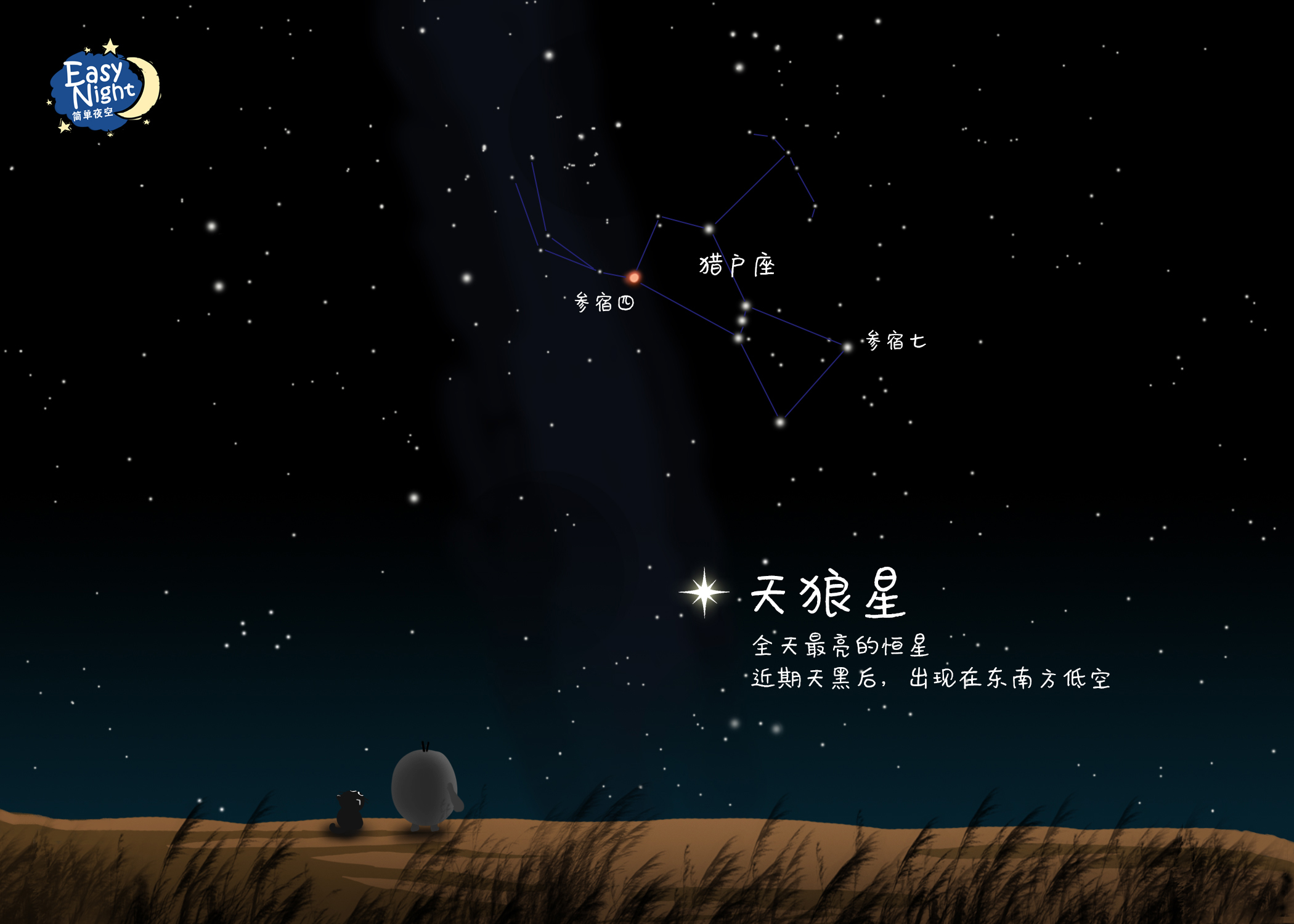 关于星空的游戏(关于星空游戏的编程)