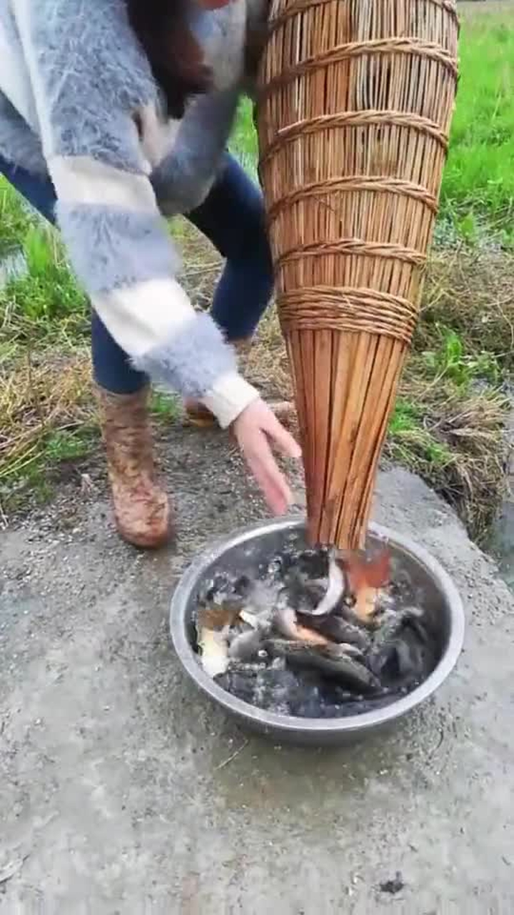看抓鱼的人(抓鱼的抓鱼的人)