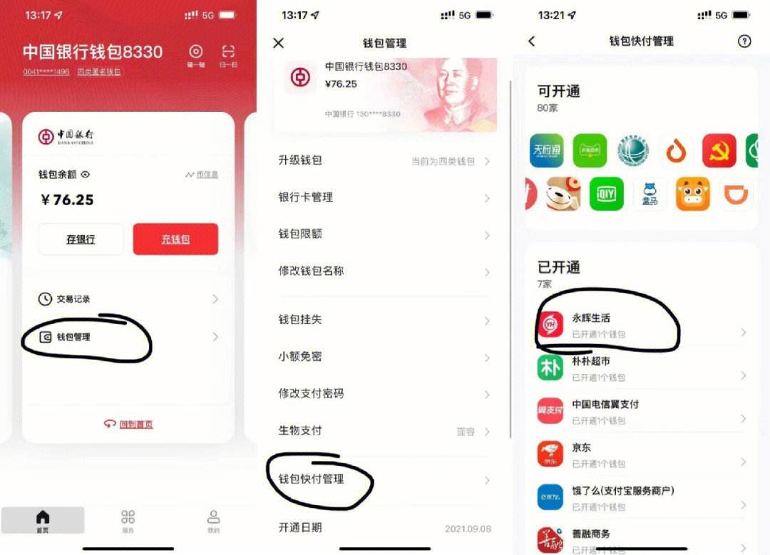 电子钱包地址是什么(工行电子钱包是什么意思)