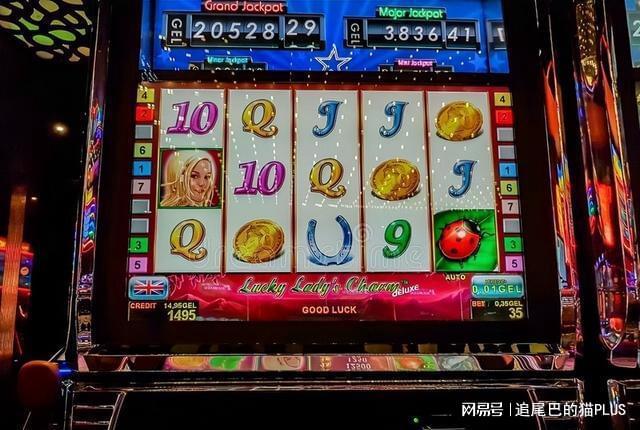 老虎机怎么刷币(大满贯老虎水果机单机下载)