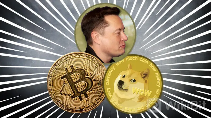 狗狗币钱包下架了吗(狗狗币钱包里的币怎么买)
