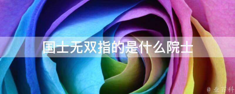 国士无双百度百科(国士无双百度百科女主)