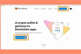 包含https://metamask.io的词条