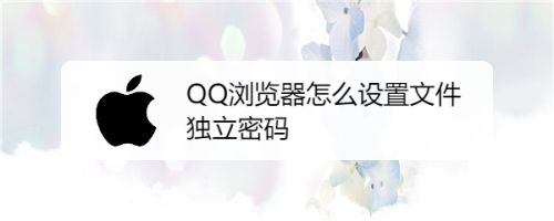 qq浏览器加密文件储存在哪里( 浏览器里面的加密文件保存在哪里)