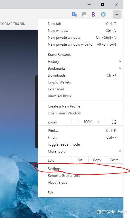 brave浏览器知乎(brave浏览器 github)