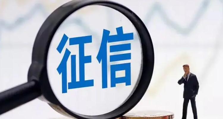 信用中国官网查询企业信用(信用中国官网查询企业信用怎么查)