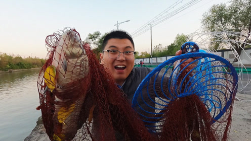 可以赚钱的扑鱼是真的吗视频(可以赚钱的扑鱼是真的吗视频下载)
