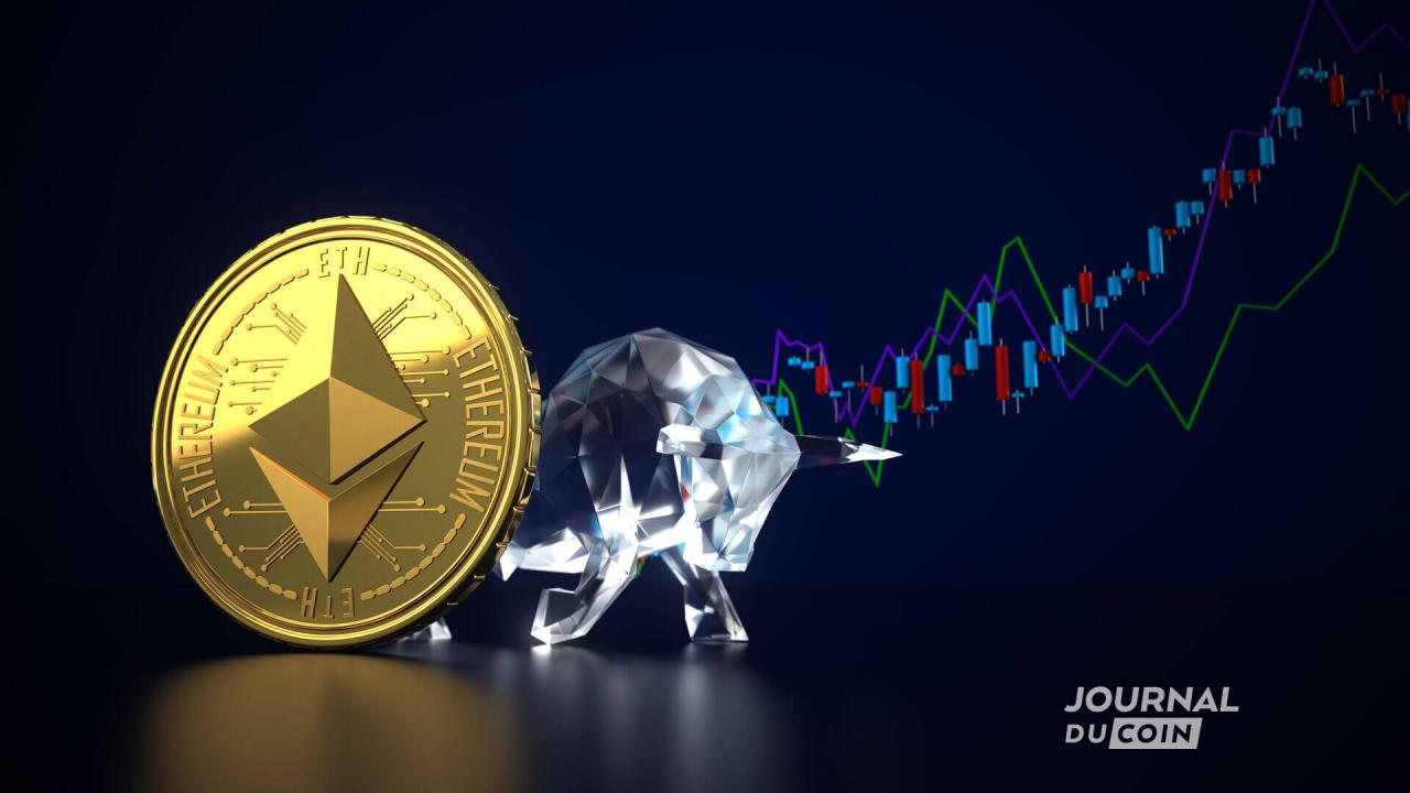 crypto交易所怎么样(cryptopia交易所下载app)