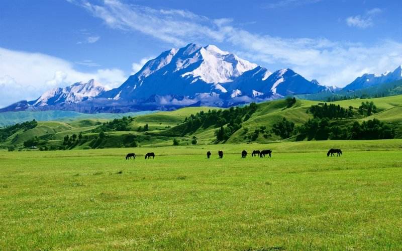 landscape的意思(landscape的意思水平)