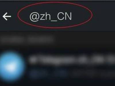 纸飞机中文版怎么设置(telegreat苹果怎么改中文版)