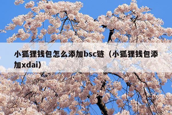 狐狸钱包怎么升级最新版本(狐狸钱包怎么升级最新版本苹果)