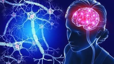 电报性语言是小脑(电报式语言是什么失语)