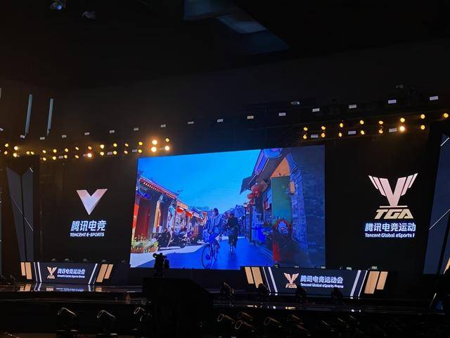 TGA项目(TGA项目是什么意思)