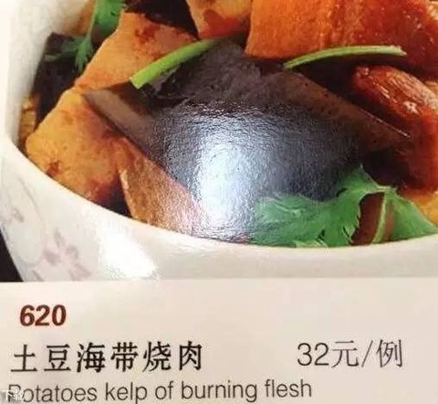 pock翻译(pock翻译中文)