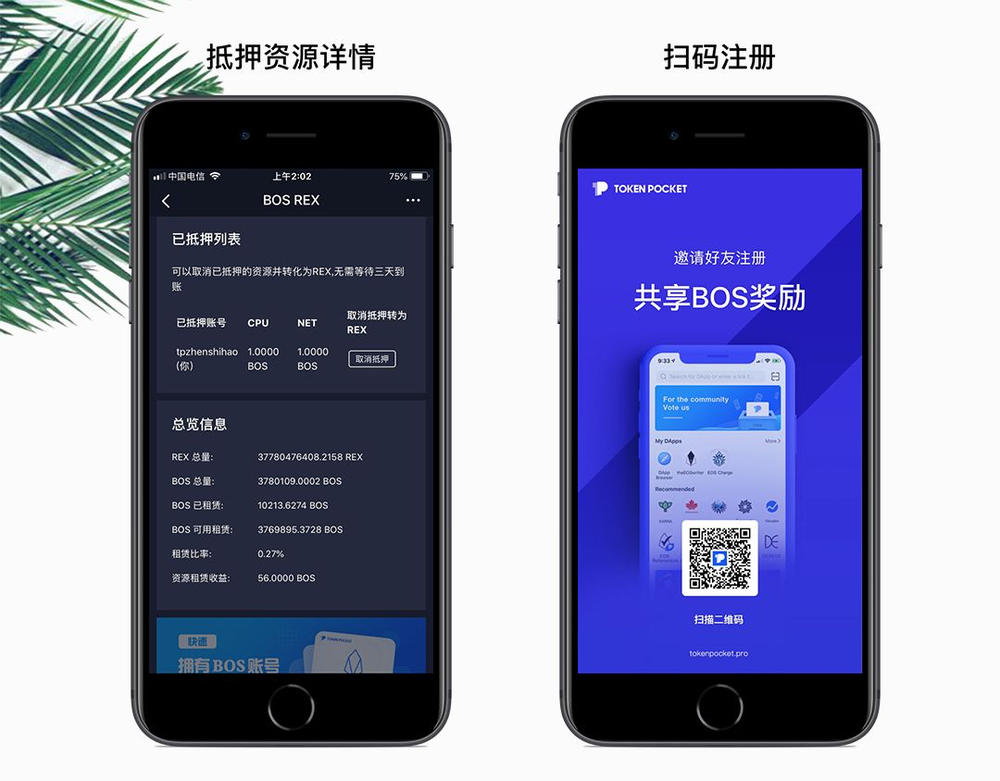Tp钱包官方网站(tp钱包官方网站最新版)
