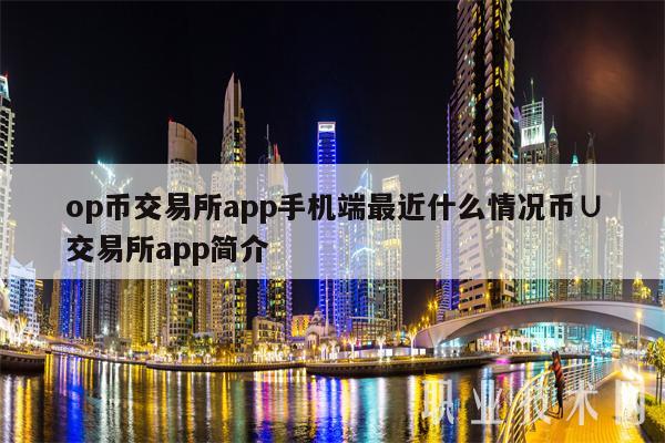 OP币未来前景的简单介绍