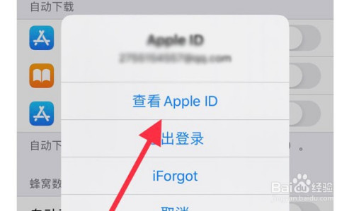 appleid在哪里查看_apple id从哪里查看