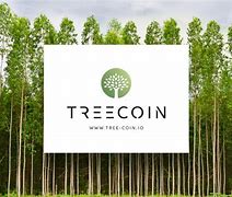 tokeneco官网,国家新闻vtoken最新的动态
