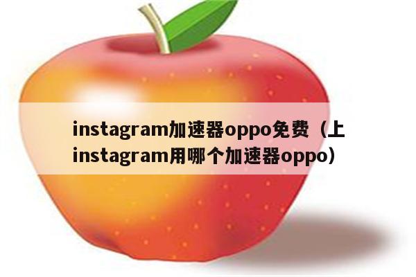 ins加速器,ins加速器免费