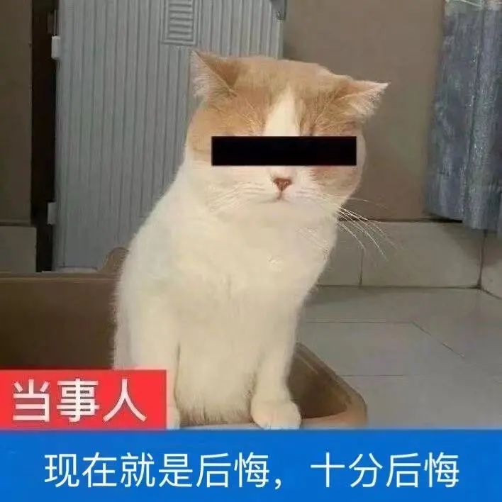 包含比特派最新钱包5.0024版本的词条