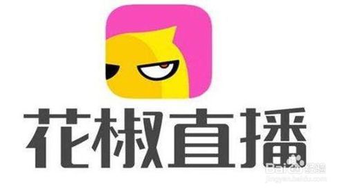 k豆是哪个直播平台,kk直播k豆兑换比例