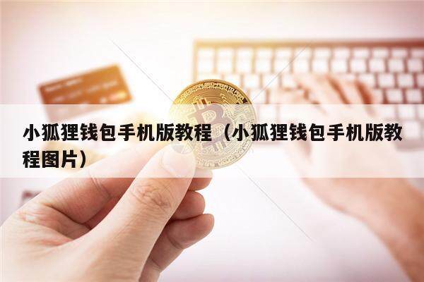 小狐狸钱包手机版怎么导入钱包数据,小狐狸钱包手机版怎么导入钱包数据呢