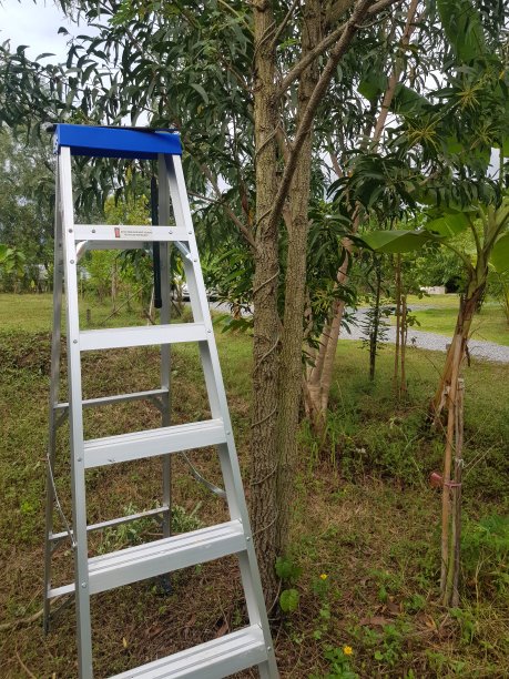 免费梯子试用-免费梯子试用3小时加速器