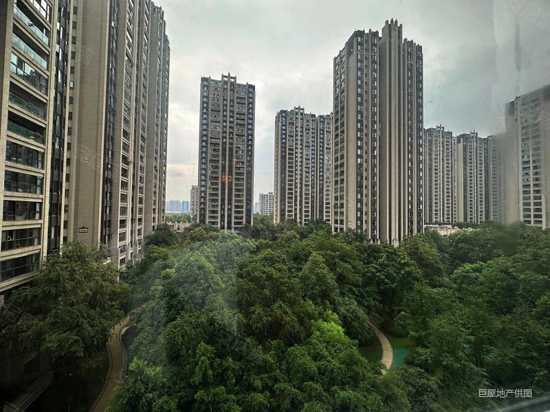 西派国际地址-西派国际是哪个区