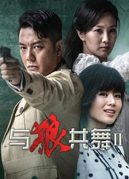 与狼共舞1剧情介绍-与狼共舞剧情介绍分集介绍电视猫