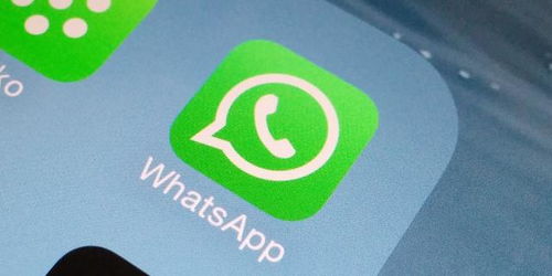 whatsapp官网入口安卓-whatsapp fownload