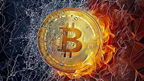 包含虚拟币TP的公司全名的词条