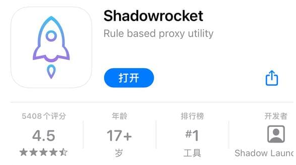 梯子软件有哪些-梯子软件有哪些互联网科技