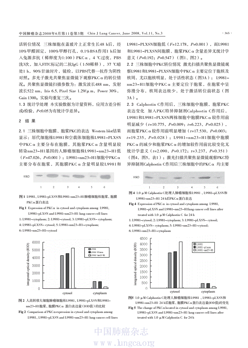 pkc币-pkc币怎么购买