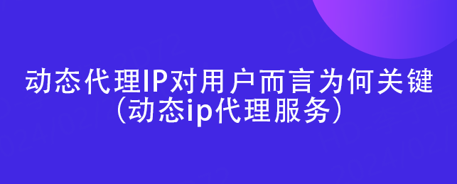代理ip-代理ip和梯子的区别