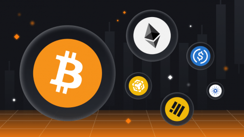 币coinapp下载-币coinapp官方下载