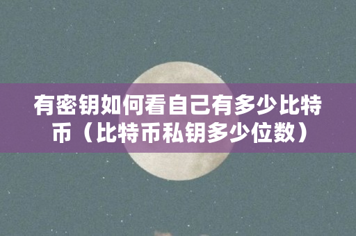 知道私钥怎么提取比特币-比特币私钥获得余额的代码
