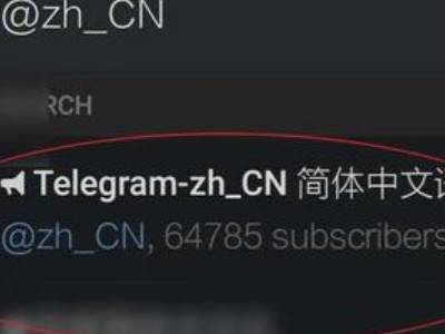 纸飞机苹果版怎么切换中文-iphone纸飞机怎么设置中文