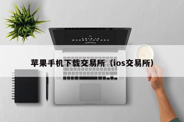 imtokeniphone国内的简单介绍