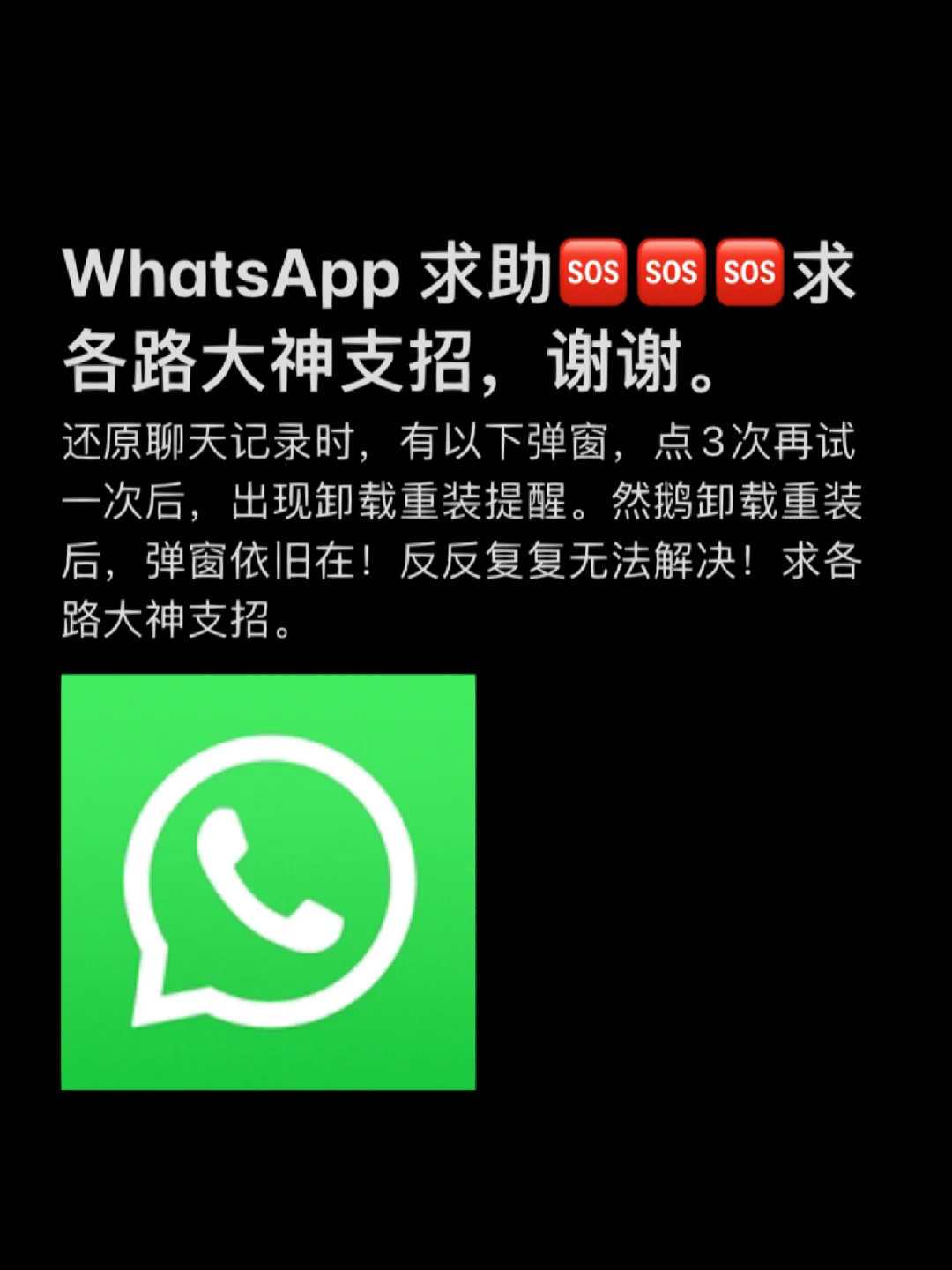 关于whatsapp下载不了图片,能聊天的信息