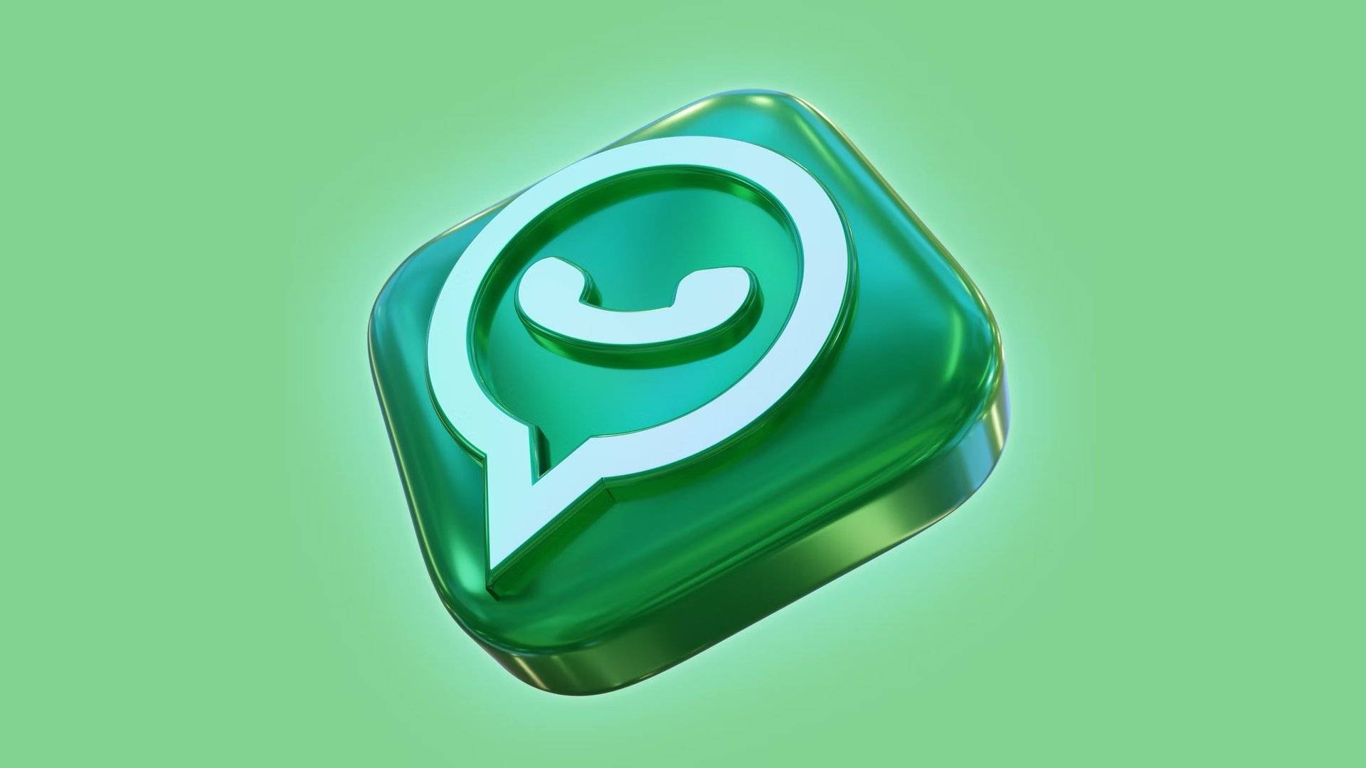 whatsapp管理软件-whatsapp manager