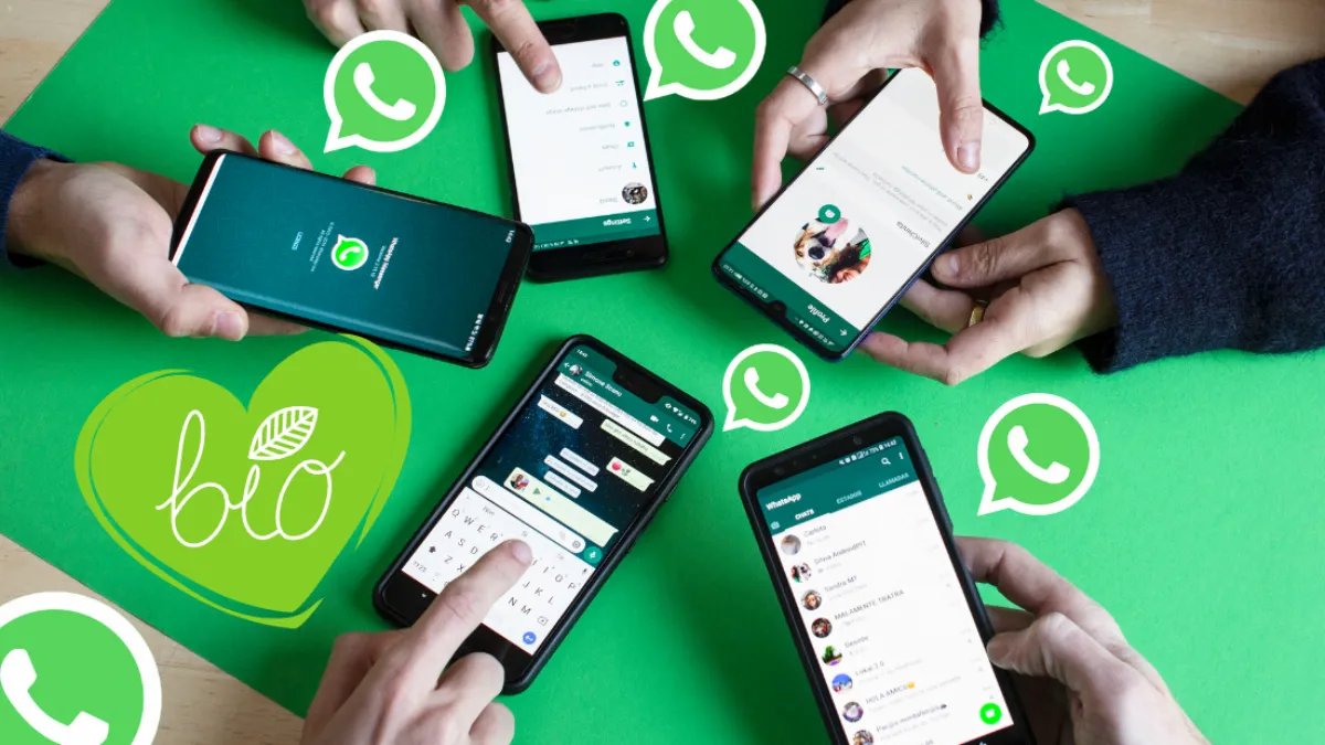 whatsapp叫什么软件-whatsapp属于什么软件