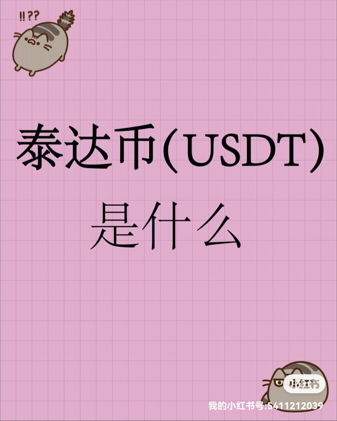 usdt叫什么-usdt什么东东