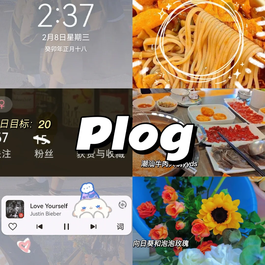苹果手机怎么登陆po18网站的简单介绍
