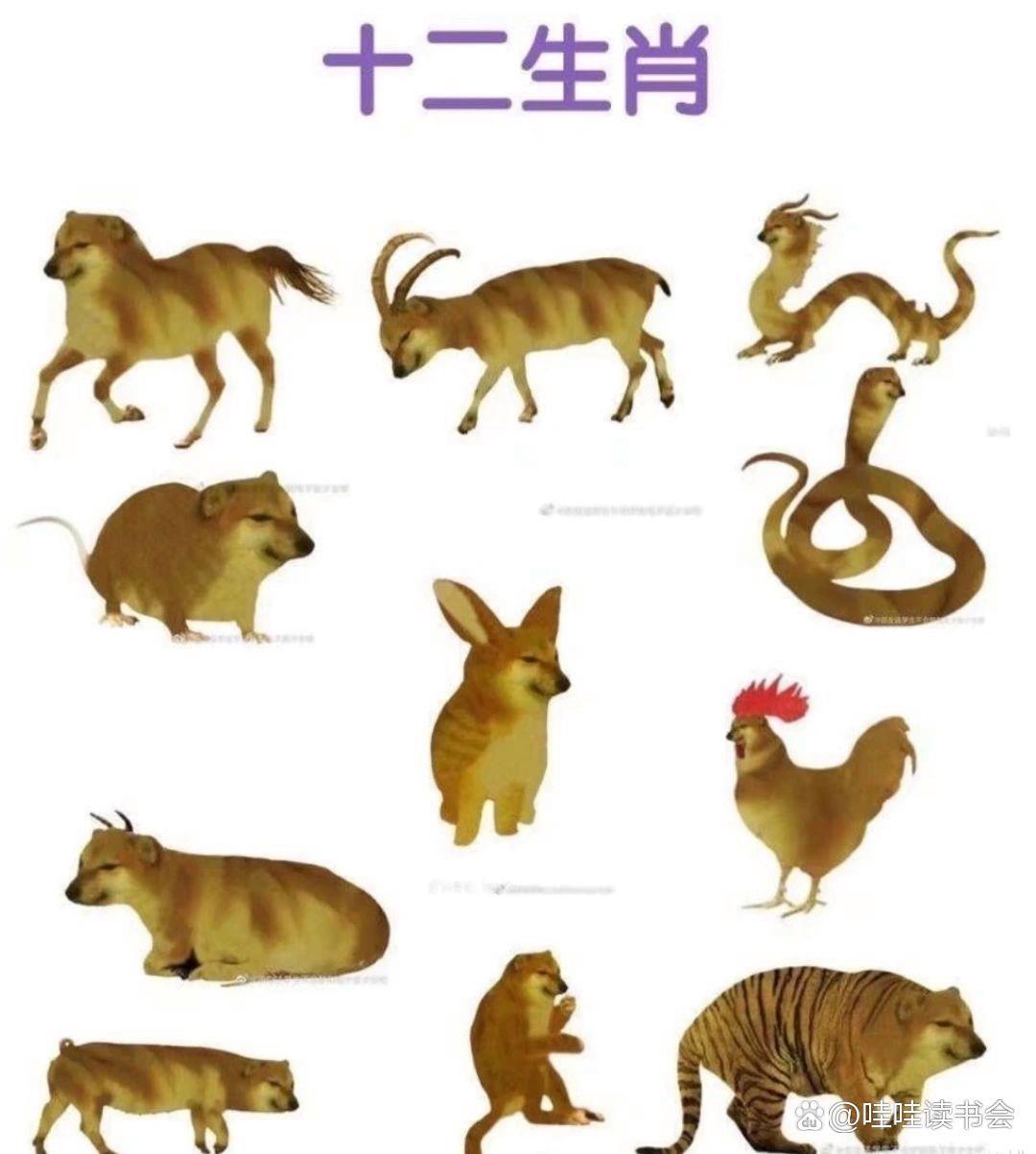 一清二白的三大生肖-一清二白打一个数字几