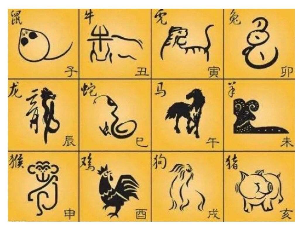 关于一六前后有玄机打一正确生肖的信息