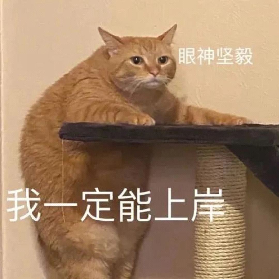 五六之内有玄机打一个动物-五六之内有玄机打一动物最佳答案